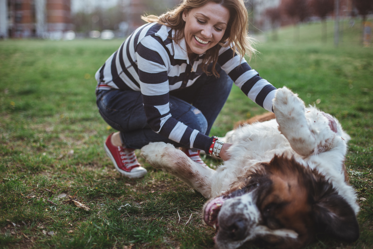 Enjoy Time Outside with Your Pup at These Houston Dog Parks