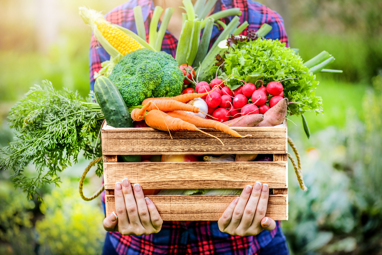 Enjoy Drive-Thru Service at the Urban Harvest Farmers Market in Houston