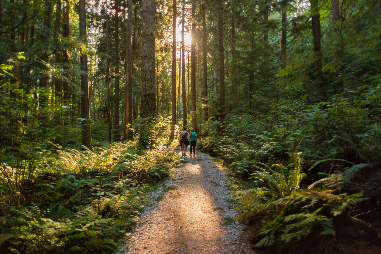 Enjoy the Habitat Hikes at the Houston Arboretum & Nature Center