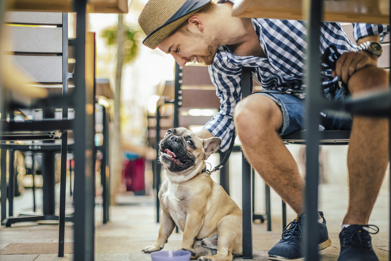 Enjoy a Day with Your Pet at These Dog-Friendly Locations in Houston