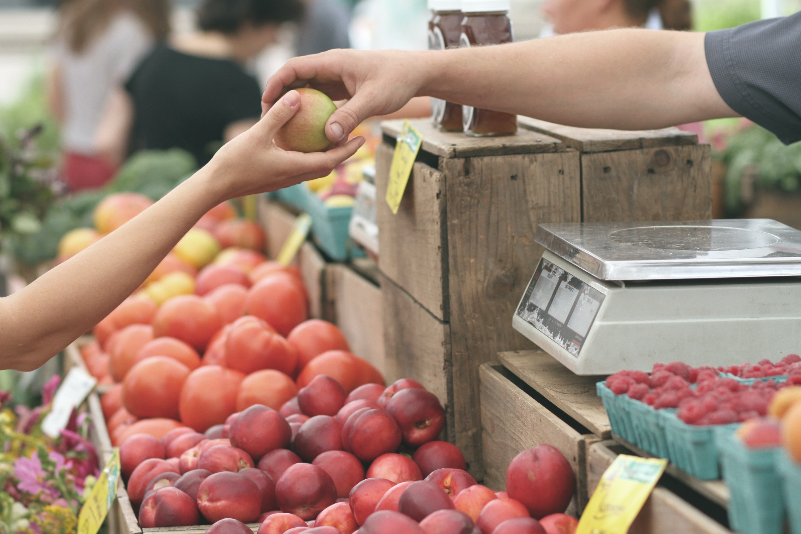 Houston's Most Enchanting Farmers Markets Uncovered